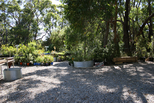 Coromandel Native Nursery