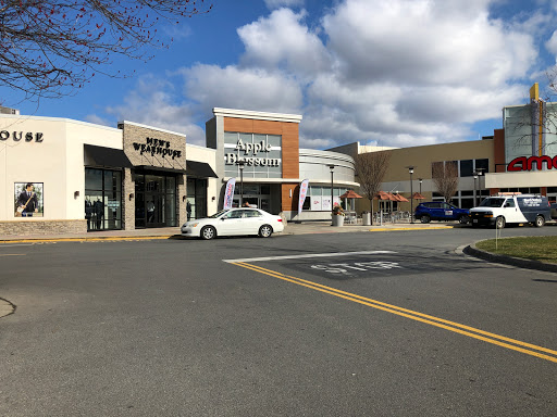 Apple Blossom Mall, 1850 Apple Blossom Dr, Winchester, VA 22601, USA, 