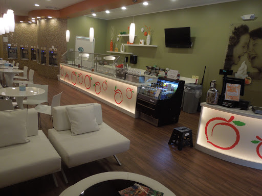 Peachwave Frozen Yogurt & Gelato, 6 W 8th St, Holland, MI 49423, USA, 