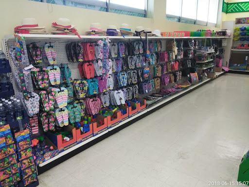 Dollar Store «Dollar Tree», reviews and photos, 5110 Pennell Rd, Media, PA 19063, USA
