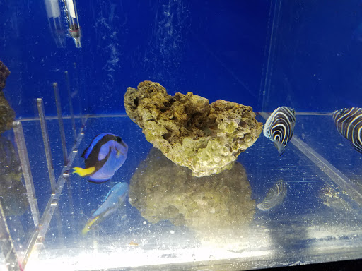 Pet Store «The Pet Zone», reviews and photos, 20 W Oak St, Pittston, PA 18640, USA