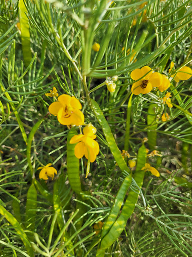 Park «Lookout Mountain Preserve», reviews and photos, 15800 N 16th St, Phoenix, AZ 85022, USA
