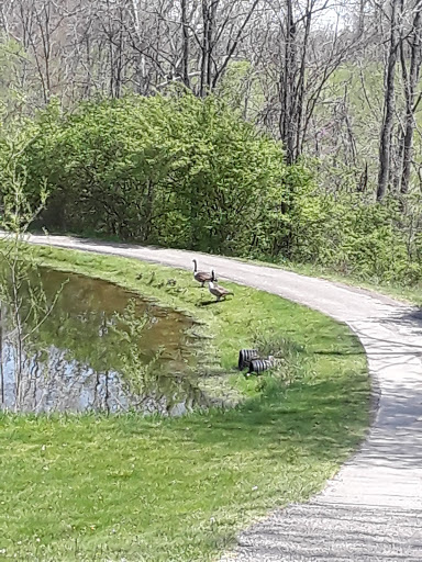 Public Golf Course «Beech Creek Golf Course», reviews and photos, 1831 Hudepohl Ln, Cincinnati, OH 45231, USA