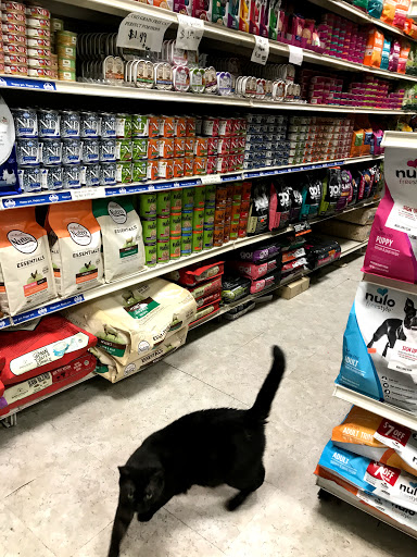 Pet Supply Store «NYCPet.com», reviews and photos, 464 Myrtle Ave, Brooklyn, NY 11205, USA