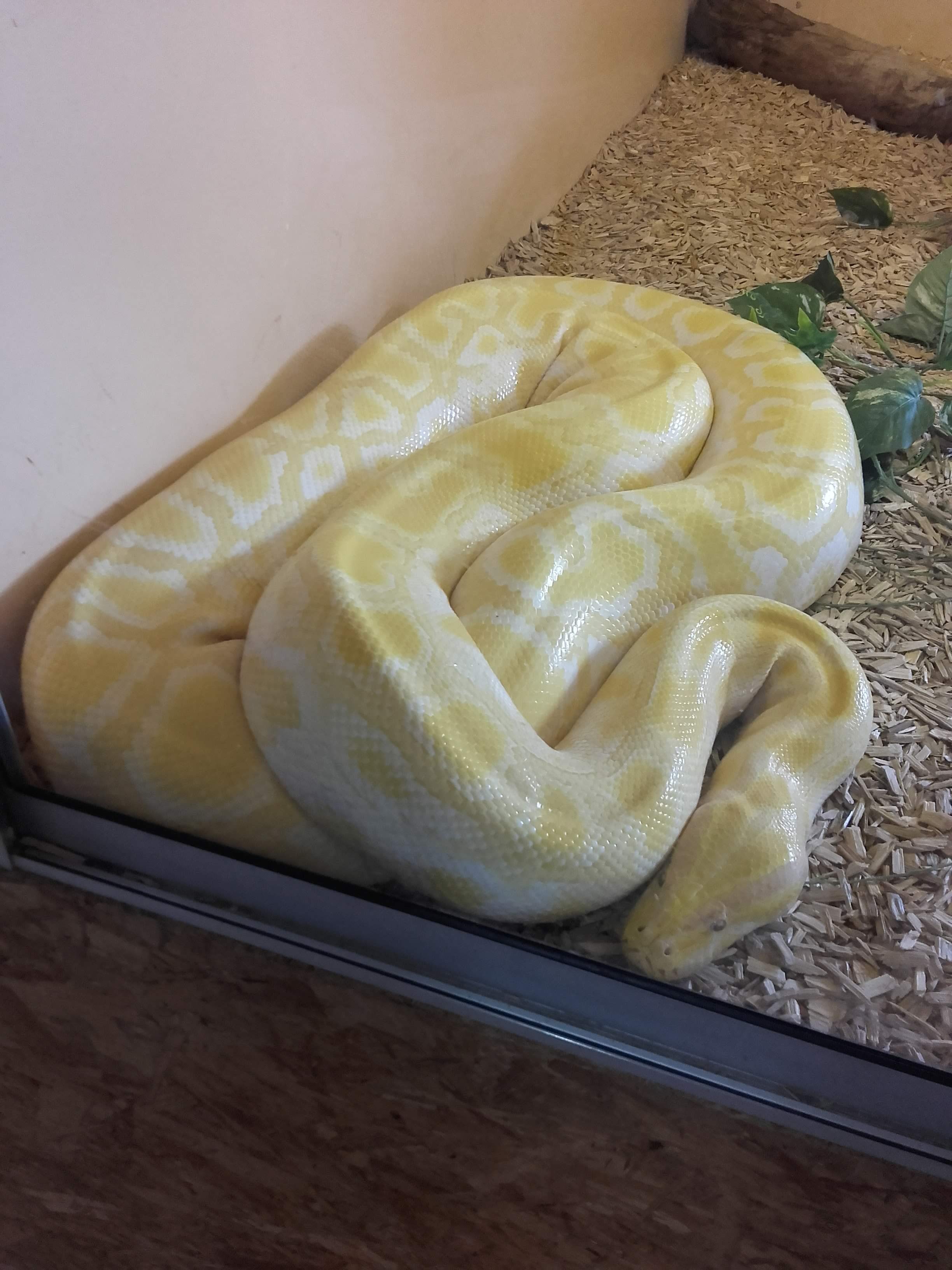 Photo n° 7 de l'avis de Sabrina.a fait le 24/08/2019 à 09:26