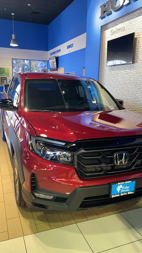 Selma Honda image