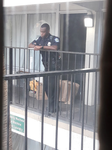 Ice Cream Shop «Twistee Treat Pinellas Park», reviews and photos, 4556 Mainlands Blvd W, Pinellas Park, FL 33782, USA