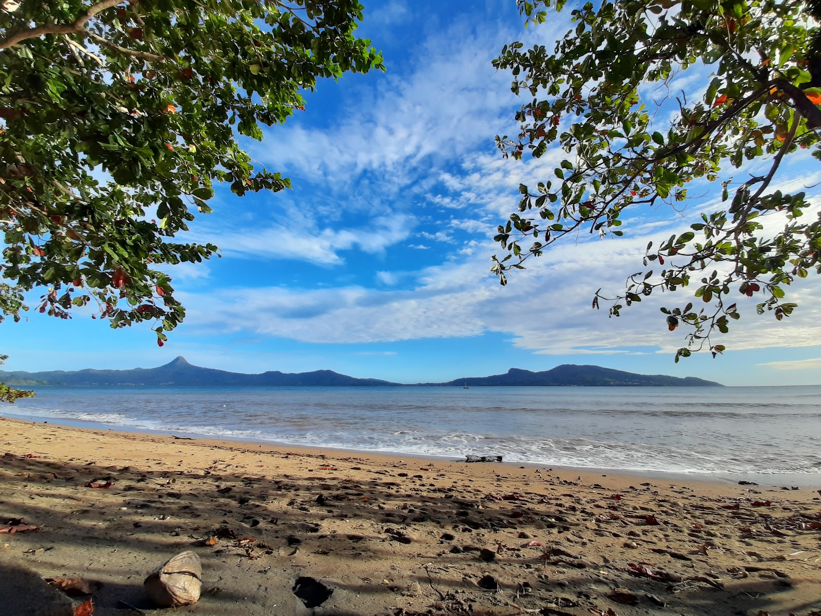 Foto de M'tsanga Beach con arena gris superficie