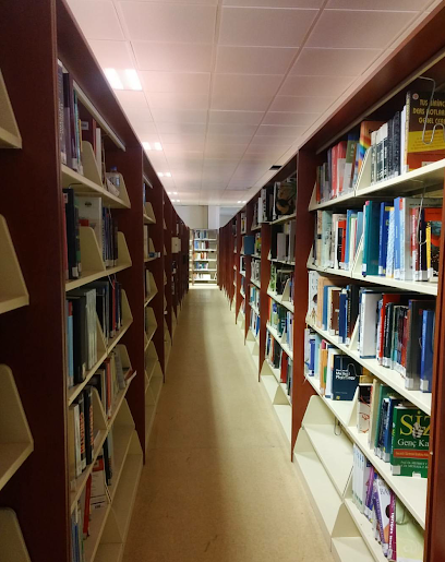 Düzce Üniversitesi Kütüphane