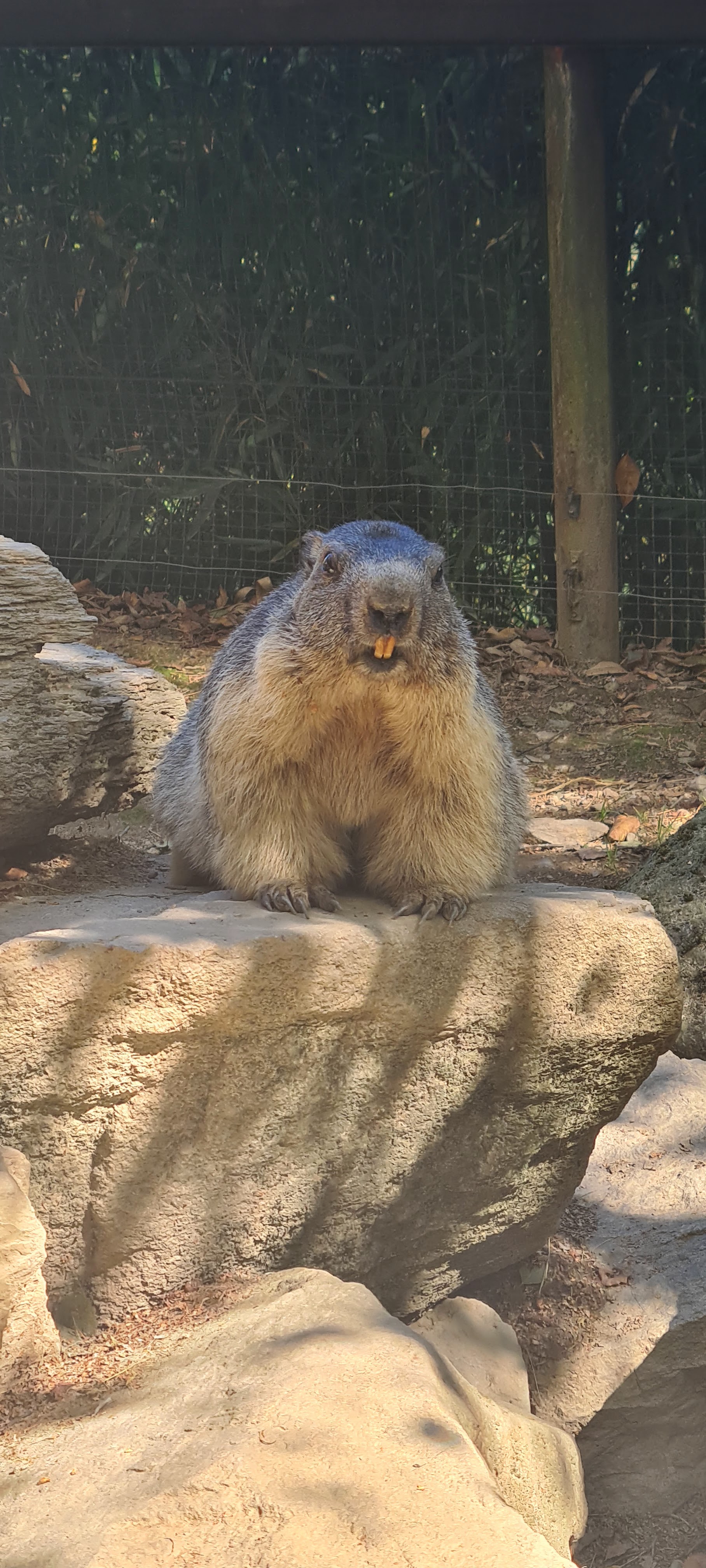 Photo n° 28 de l'avis de Jacky.r fait le 18/09/2022 à 05:13