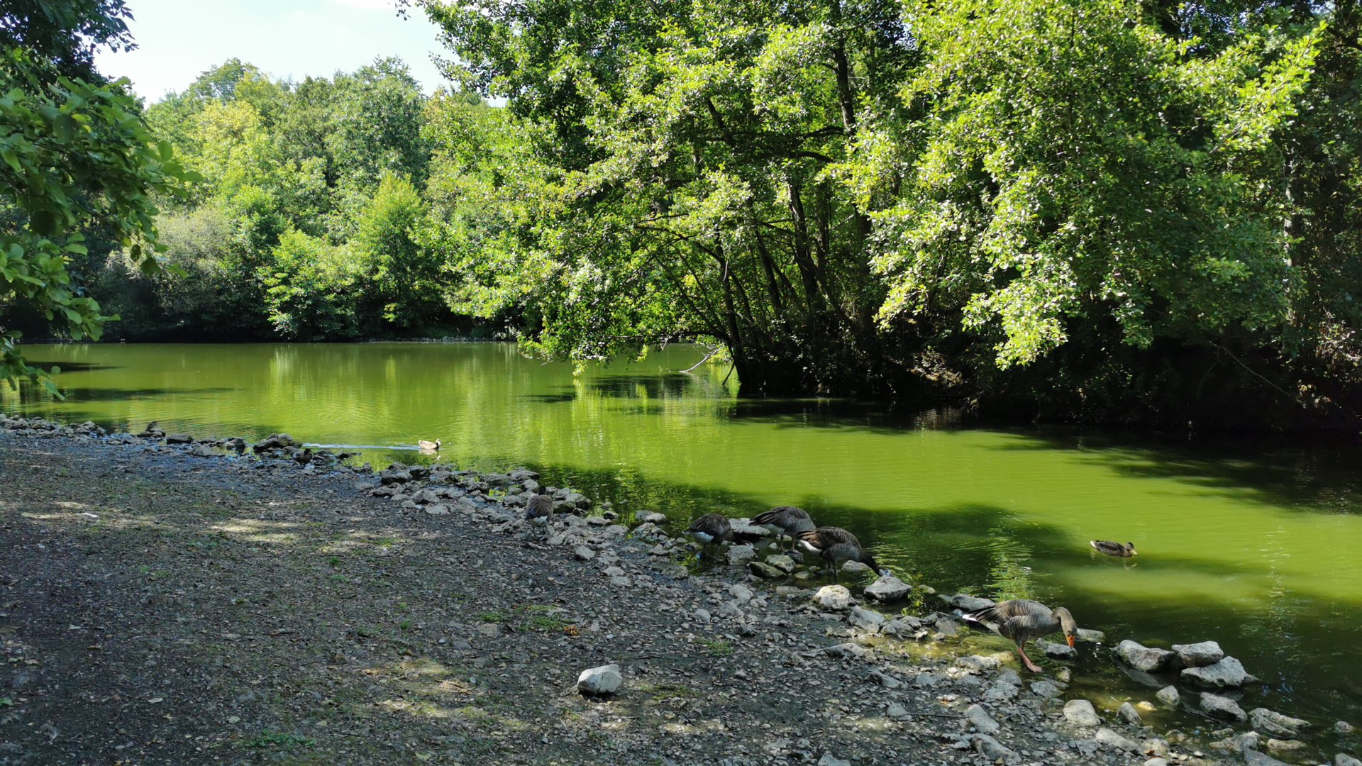 Photo n° 4 de l'avis de Koud.0 fait le 31/07/2022 à 13:58