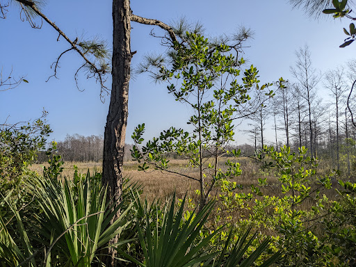 Nature Preserve «Grassy Waters Preserve», reviews and photos, 8264 Northlake Blvd, West Palm Beach, FL 33412, USA