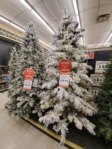 Craft Store «Hobby Lobby», reviews and photos, 501 Sawdust Rd, Spring, TX 77380, USA