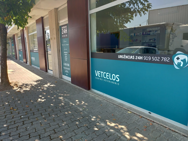 Avaliações doVETCELOS CENTRO VETERINÁRIO em Barcelos - Veterinário