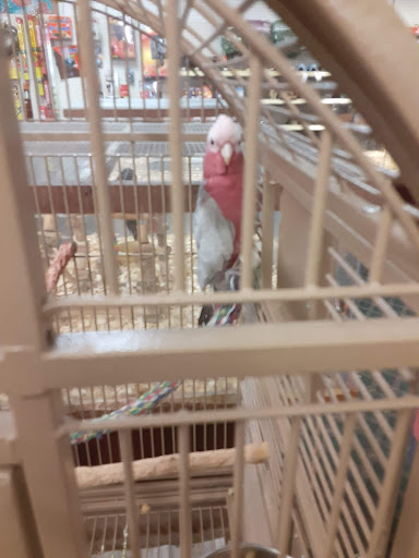 Pet Store «Wet Pets», reviews and photos, 1712 Montgomery Hwy, Dothan, AL 36303, USA