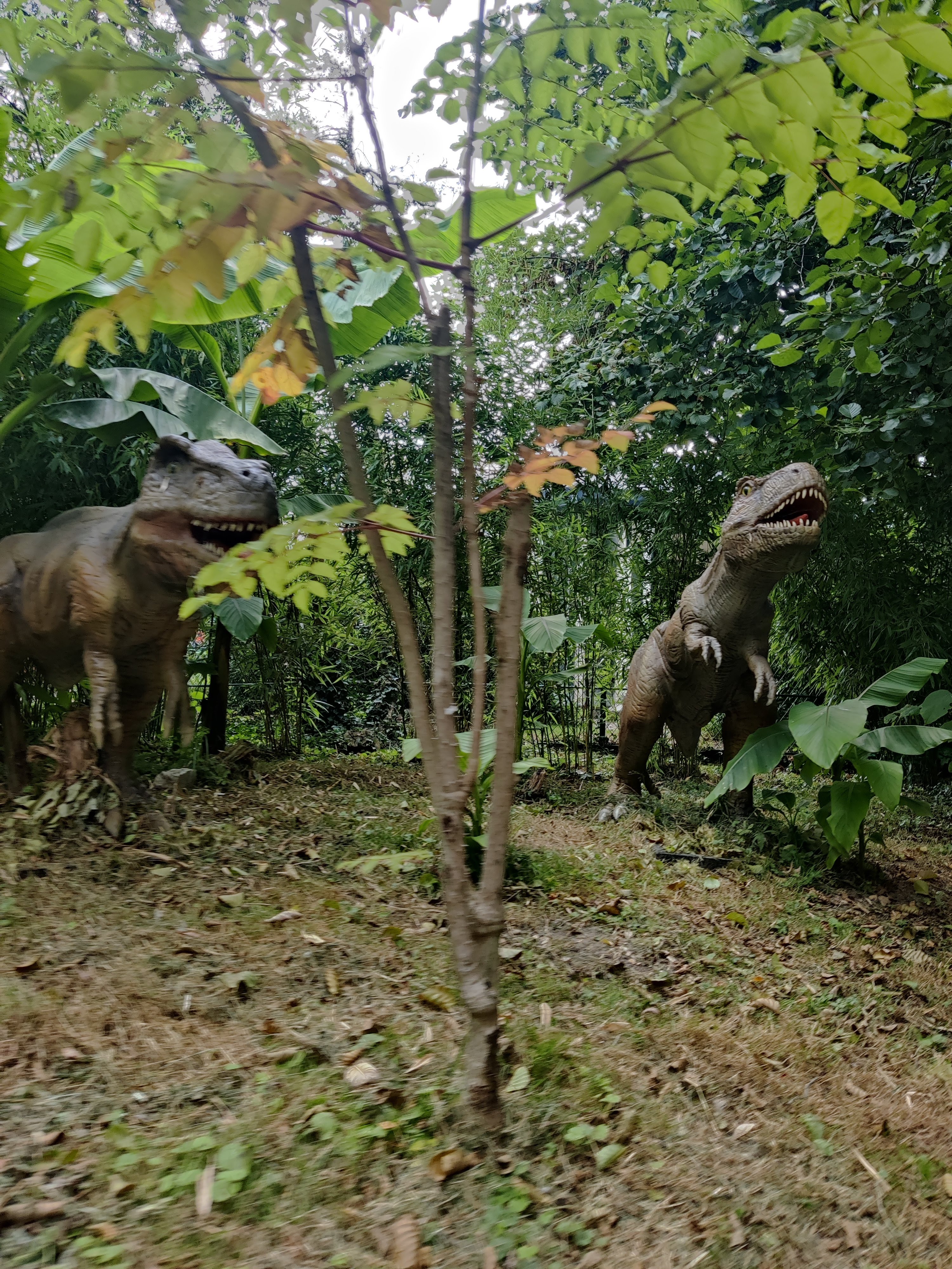 Photo n° 5 de l'avis de Dior.a fait le 14/08/2019 à 20:24