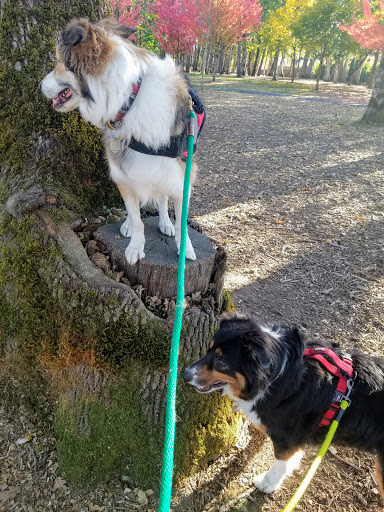 Park «Shadywood Park», reviews and photos, 535 NE 24th Ave, Hillsboro, OR 97124, USA