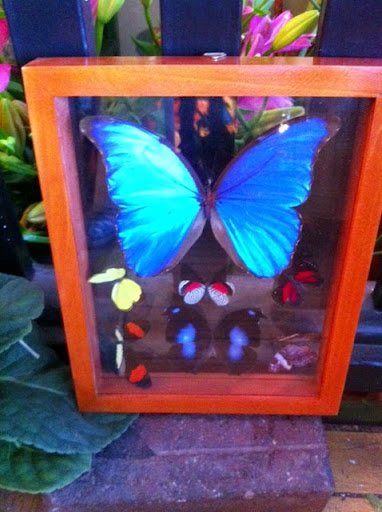 Florist «Halsted Flowers, LLC», reviews and photos, 2725 N Halsted St, Chicago, IL 60614, USA