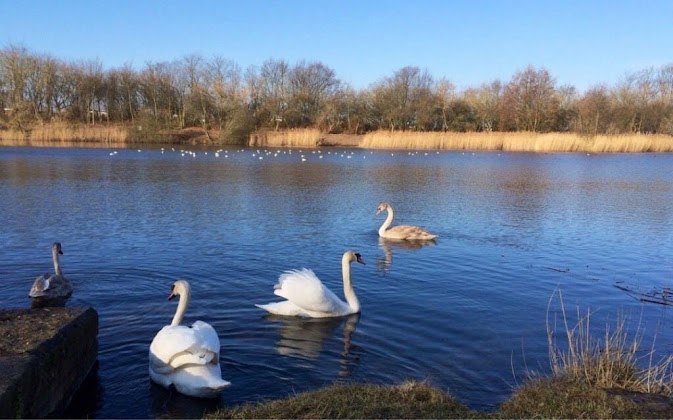 Photos des visiteurs Ferienwohnung Ferienwohnung Rostock 