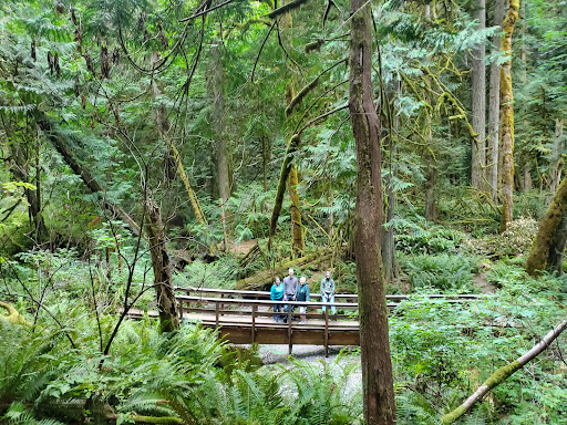 Performing Arts Theater «Kitsap Forest Theater», reviews and photos, 3000 Seabeck Hwy NW, Bremerton, WA 98312, USA