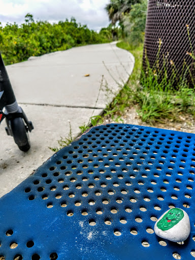 Nature Preserve «Mobbly Bayou Wilderness Preserve», reviews and photos, 423 Lafayette Blvd, Oldsmar, FL 34677, USA