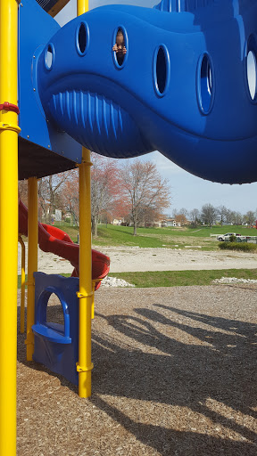 Amusement Park «White Birch Bay Aquatic Center», reviews and photos, 1186 Teson Rd, Hazelwood, MO 63042, USA