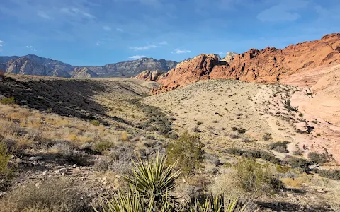 Red Rock Canyon National Conservation Area image