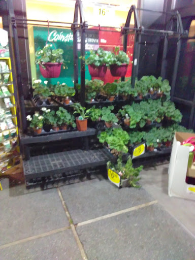 Grocery Store «Quality Food Center», reviews and photos, 22828 100th Ave W, Edmonds, WA 98020, USA