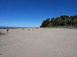 Photo de Lincoln City Beach avec rivage droit, long