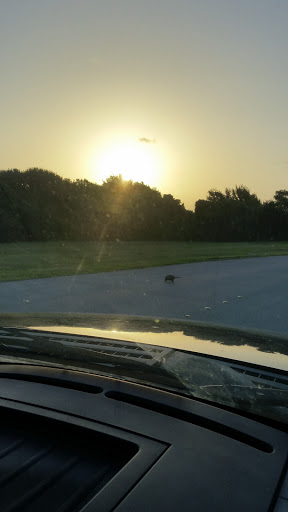 Dog Park «Freedom Dog Park», reviews and photos, 2675 Trophy Park Dr, Roanoke, TX 76262, USA