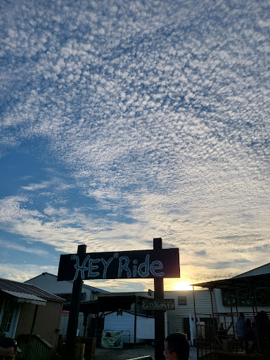 Farm «Warbington Farms (U-Pick Strawberries)», reviews and photos, 5555 Crow Rd, Cumming, GA 30041, USA