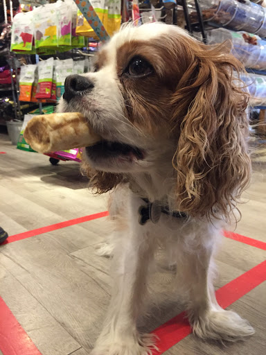 Pet Supply Store «Wally Pets», reviews and photos, 4411 Wallingford Ave N, Seattle, WA 98103, USA
