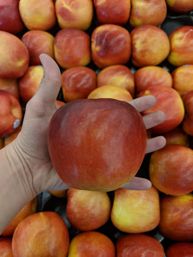 Grocery Store «Albertsons», reviews and photos, 715 12th Ave S, Nampa, ID 83651, USA