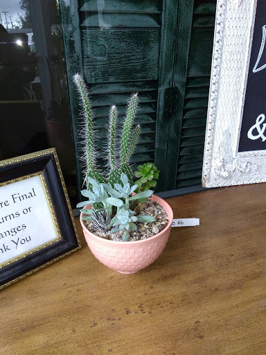 Used Furniture Store «Summer House Furniture», reviews and photos, 3620 S Manhattan Ave, Tampa, FL 33629, USA