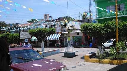 Autobuses El Palmar De Veracruz