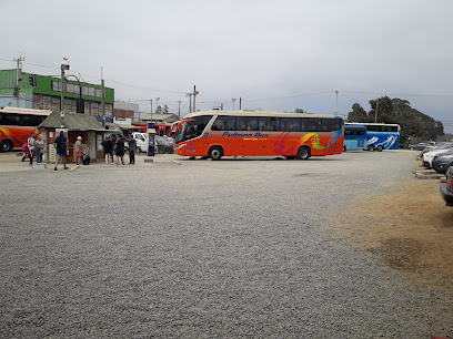 Terminal De Buses De Algarrobo