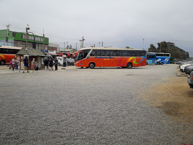 Terminal De Buses De Algarrobo - Servicio de taxis