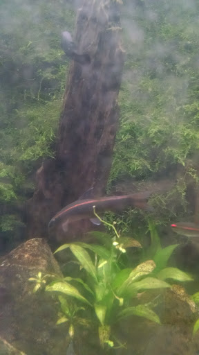 Pet Supply Store «Coastline Pet Supply», reviews and photos, 3530 Northgate Dr, Myrtle Beach, SC 29588, USA