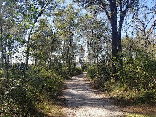 Park «Lake Rogers Park», reviews and photos, 9010 N Mobley Rd, Odessa, FL 33556, USA