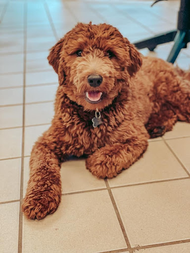 Nissan Dealer «Pat Peck Nissan - Gulfport», reviews and photos, 9480 US 49, Gulfport, MS 39503, USA