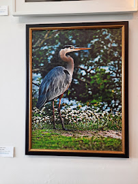 Captured Images by Barbara, LLC - Photo 4 - Car repair in Newport News, VA, Newport News