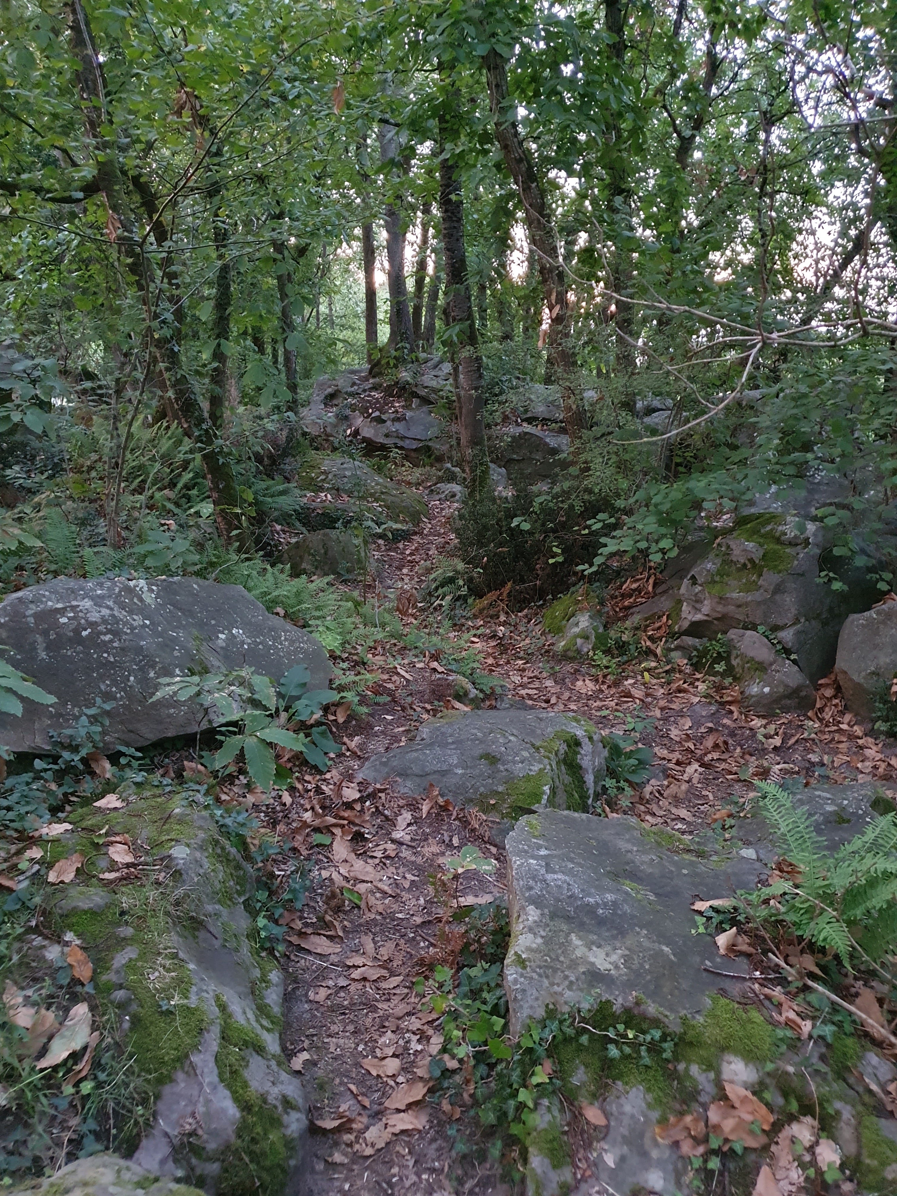 Photo n° 12 de l'avis de Olivier.O fait le 16/09/2023 à 18:27