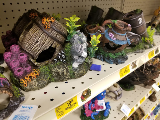 Pet Supply Store «PetSmart», reviews and photos, 2500 Posner Blvd, Davenport, FL 33837, USA
