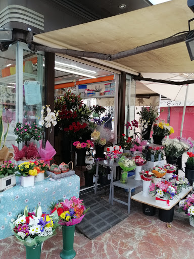 Flores Paula - Floristería en la Plaza del Ayuntamiento con envío de flores a domicilio en Valencia