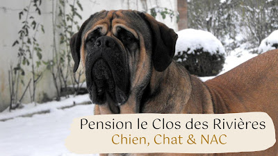 Pension le Clos des Rivières à Chemillé-en-Anjou