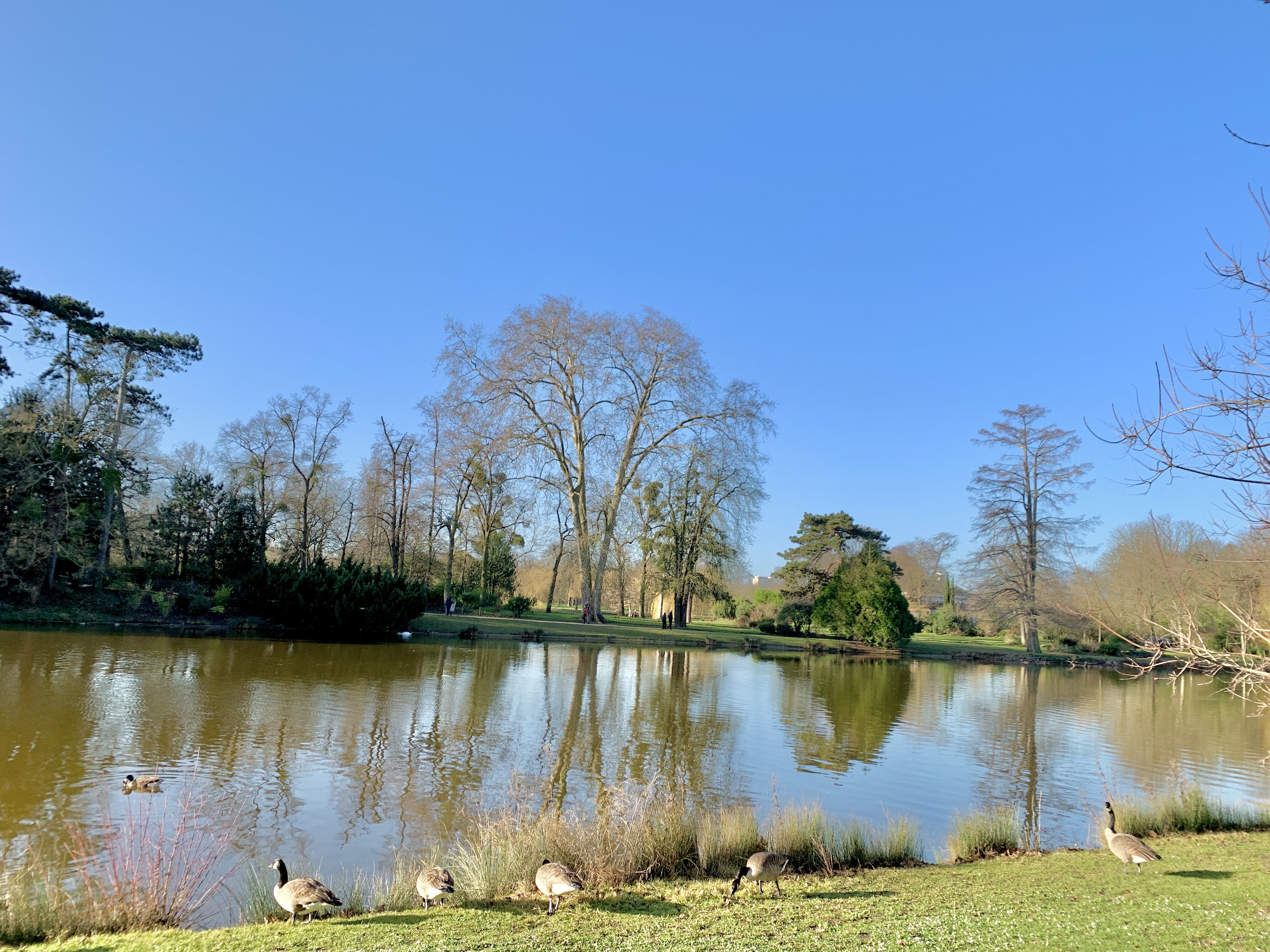 Photo n° 9 de l'avis de Agnès. fait le 10/02/2022 à 08:51