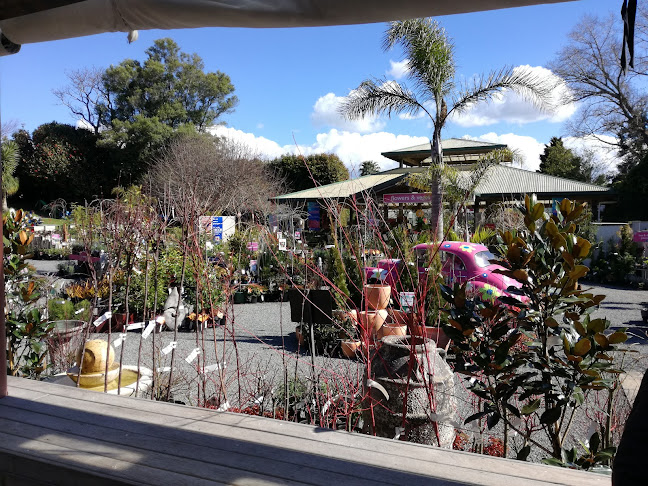 Reviews of Decor Gardenworld in Tauranga - Landscaper