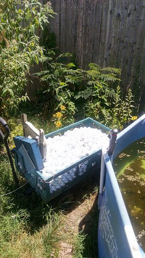 Golf Club «Compass Pointe Golf Courses», reviews and photos, 9010 Fort Smallwood Rd, Pasadena, MD 21122, USA