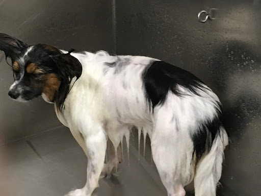 Pet Supply Store «Lemos Feed & Pet Supply», reviews and photos, 1320 Main St, Morro Bay, CA 93442, USA