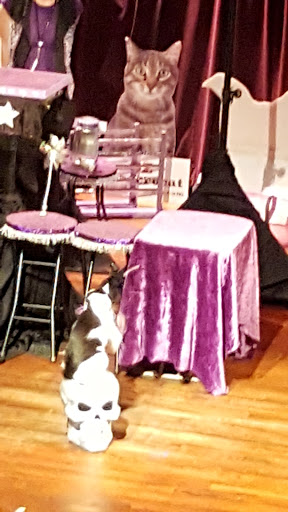 Live Music Venue «Columbia City Theater», reviews and photos, 4916 Rainier Ave S, Seattle, WA 98118, USA